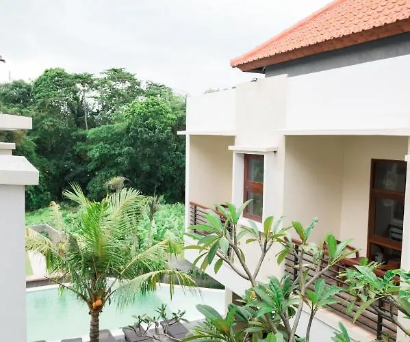 Musa Canggu (Bali)