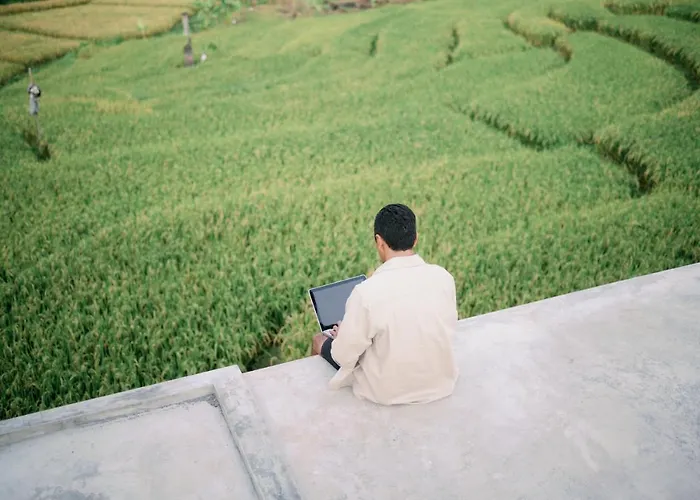 Musa Canggu (Bali)